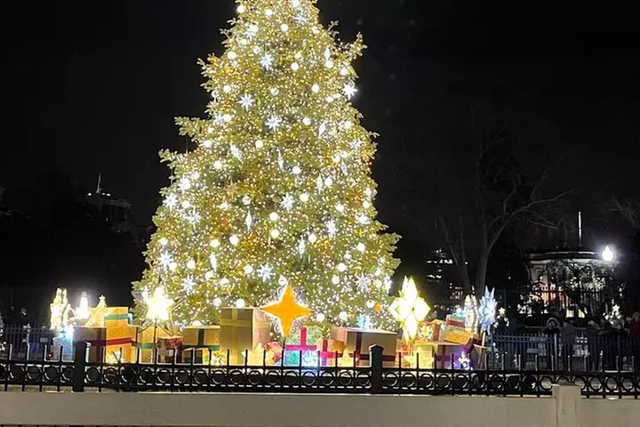 Washington, DC: National Christmas Tree & Holiday Lights Bus Tour