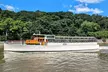 AIANY Climate Change Tour in New York - Second Medium