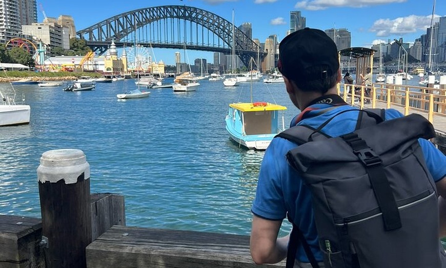 Image 4: Sydney Private Tour - Pick up & Drop off