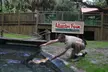 $18.50 for $37 worth of One Admission To The Alligator Farm - BLACKOUT DATES APPLY - Second Medium