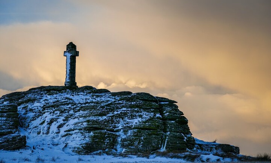 Image 8: Half day Guided Dartmoor Tour