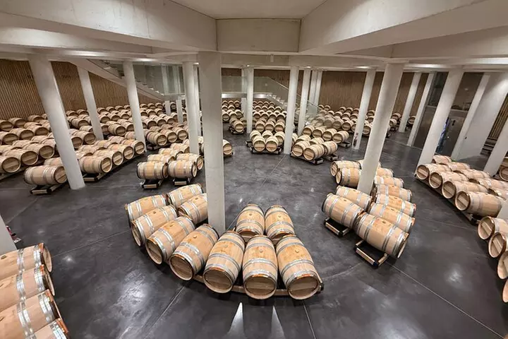 Visite des Vins de Bordeaux Les Graves Pessac Leognan - Image 6