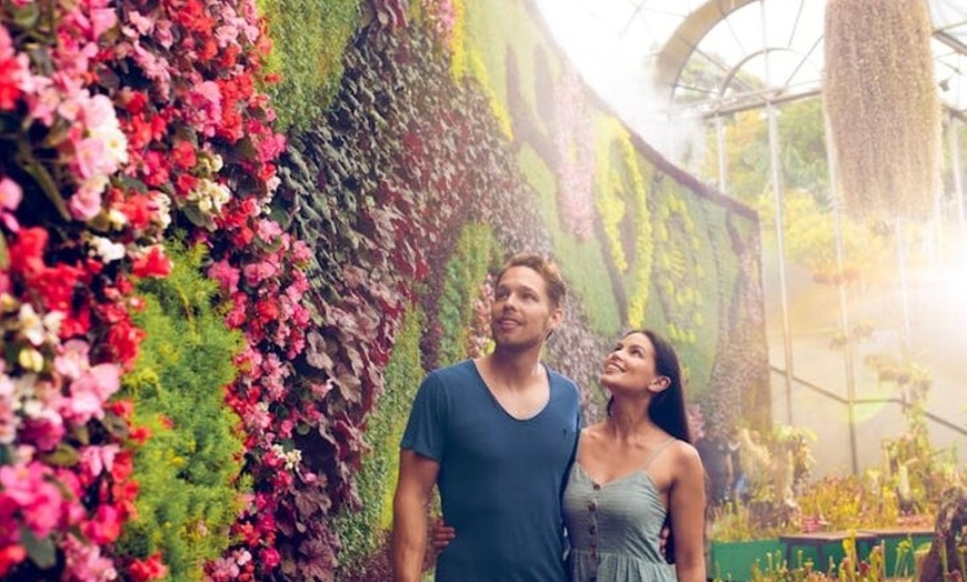 Image 4: Sydney Walking Tour Groups - Hidden Gems