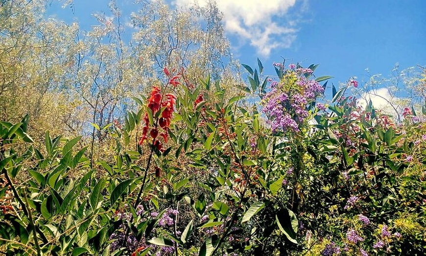 Image 4: Sabor Tradición 4 Bodegas y Tapas Bar