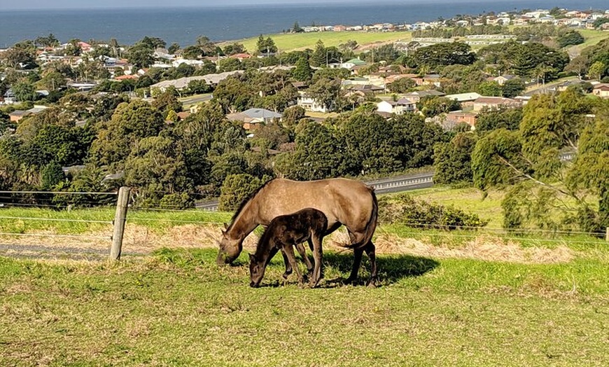 Image 13: Erupting Blowholes and Ancient Rainforests SOUTH COAST OF SYDNEY PR...