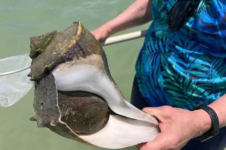Explore the waters of Anna Maria Island on a private 3hr charter