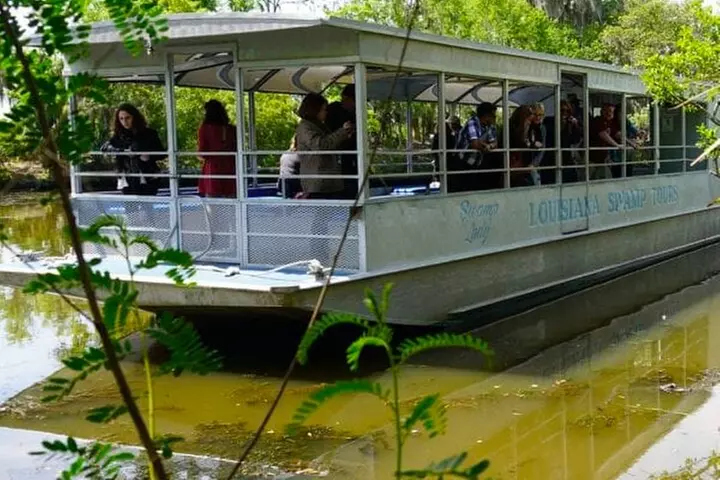 Private Swamp Tour on Pontoon Boat with Private Transportation - Primary Image
