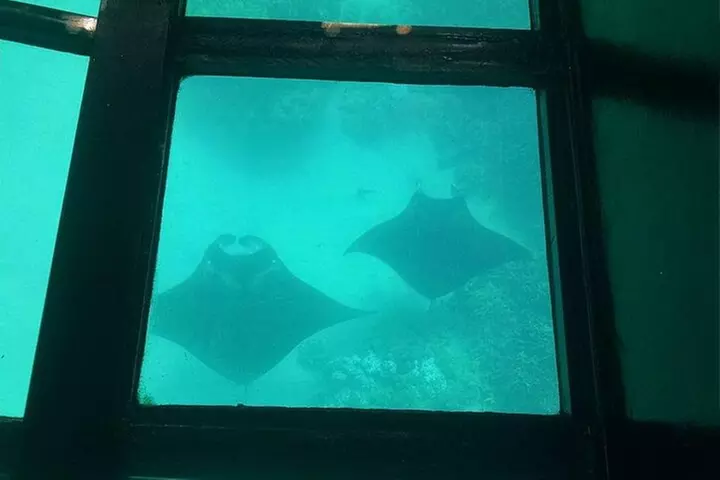 Glass-Bottom Boat Cruise from Waikoloa