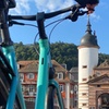Image 3: Heidelberg City E-Bike Tour