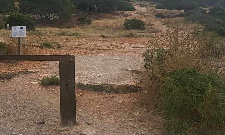 Image 12: Ruta a pie Tour Ibiza Ciudad a Dalt Villa