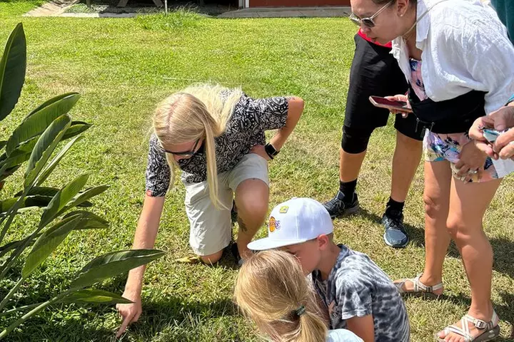 Full Day Oahu Circle Island -Turtle Beach Snorkel at North Shore