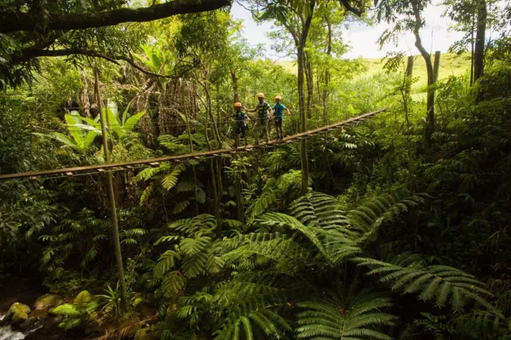 Big Island: 8-Zipline & Suspension Bridge Waterfall Adventure