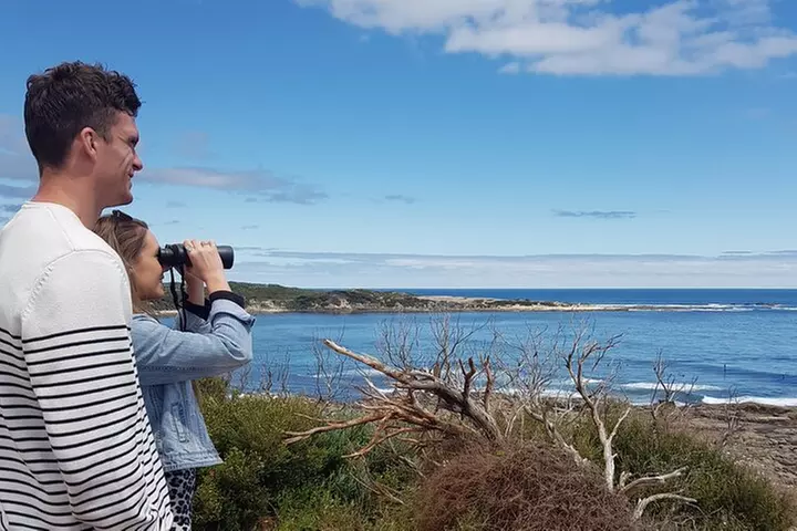 Hidden Gems: Boutique Full-Day Wine, Farm & Lunch Tour