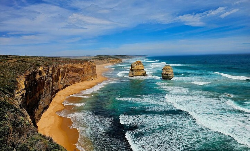 Image 3: Great Ocean Road Small Group Tour with Dingos, Sparkling & Lunch