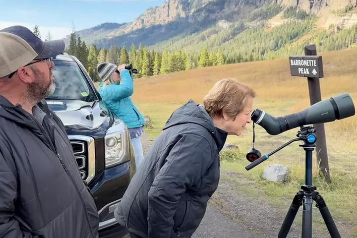 Yellowstone in a Day Private Guided Tour