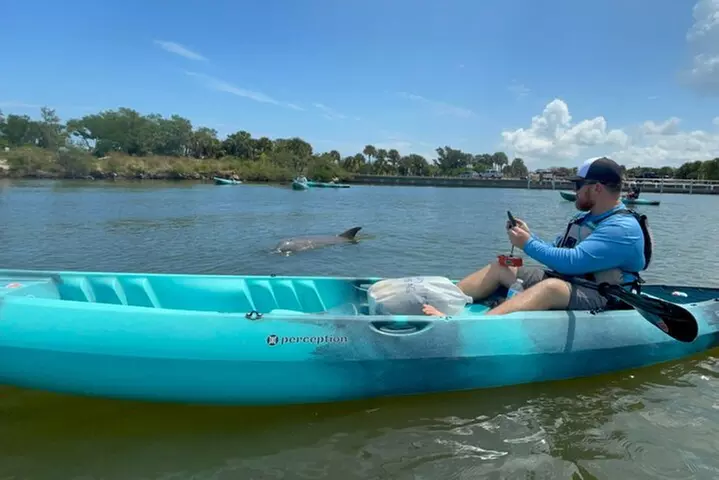 Wildlife Refuge Manatee, Dolphin & Mangrove Kayak or Paddleboarding...