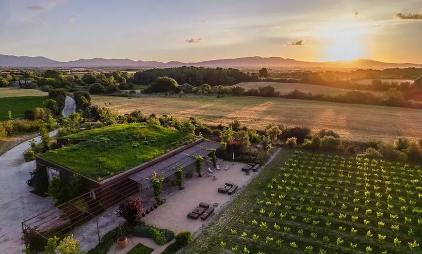 Image 1: Paseo entre viñas y cata de vinos en el Empordà