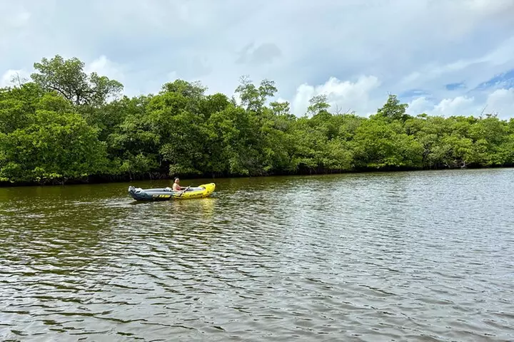 Fort Lauderdale: Kayak/SUP on Mangroves w/ Snacks & Drinks
