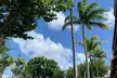 North Shore Highlight Tour - Second Medium