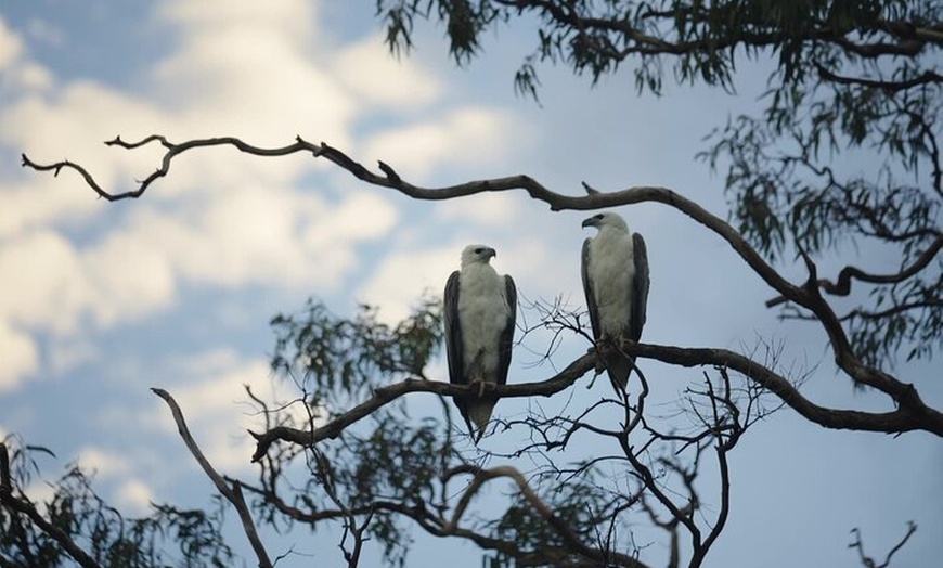 Image 3: Noosa Queen Sunset Cruise River