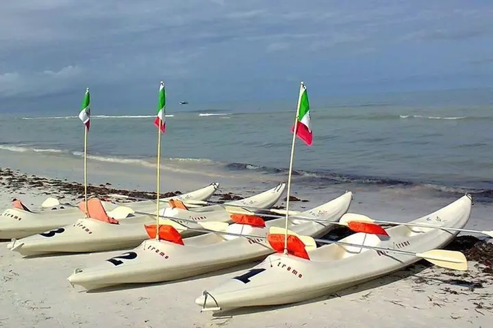 Mangroves Paddling tour - Primary Image