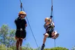 Take the Challenge and Conquer the Salisbury Treetops - Image 5