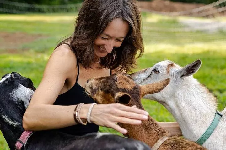 Goat Yoga Experience in Asheville - Primary Image