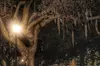 Uncensored Zombie Night-Time Walking Ghost Tour of Savannah (Ages 18+)