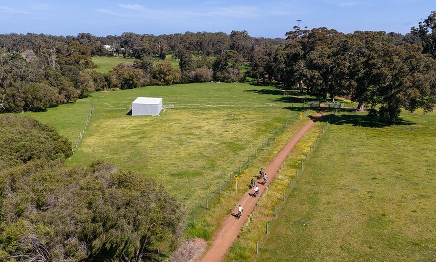 Image 9: Half Day Wadandi Track Scenic E-Bike Tour