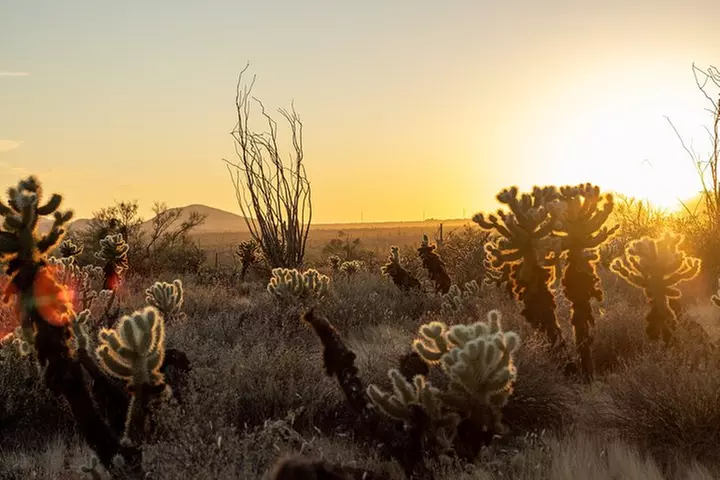 Sonoran Desert Jeep Tour at Sunset