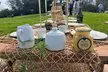 High Tea In The Park - Second Medium
