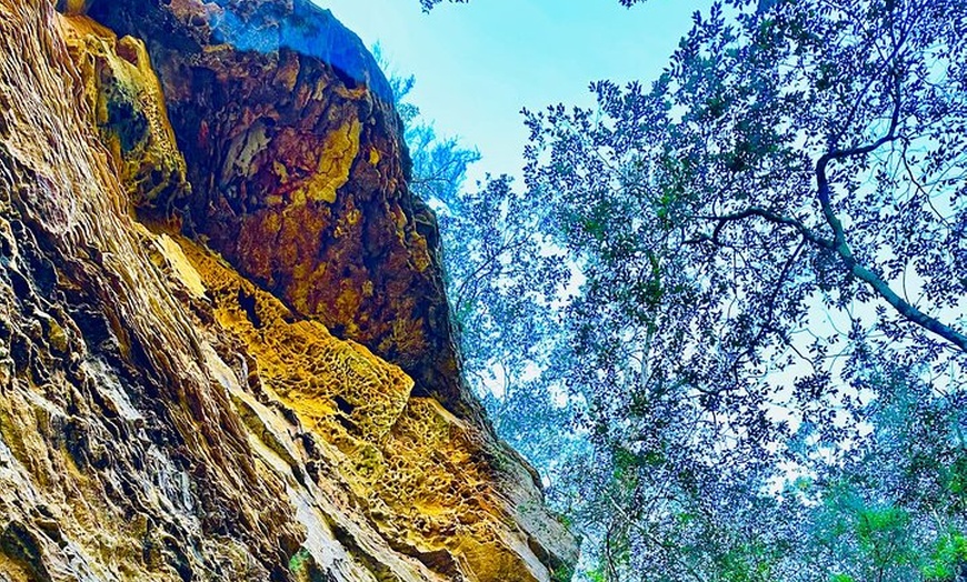 Image 5: Trek Shoot and Soothe Hiking Tour from Springwood Blue Mountains