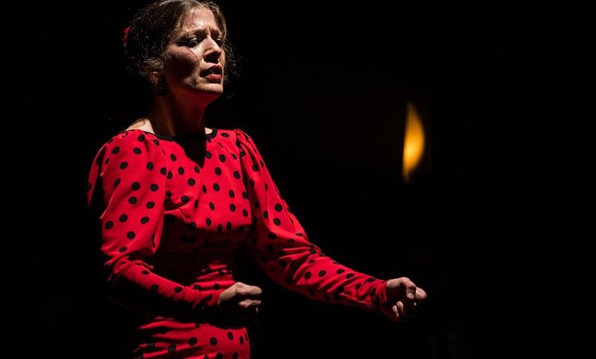 Image 7: Show Flamenco Auténtico en el Teatro Flamenco Barcelona