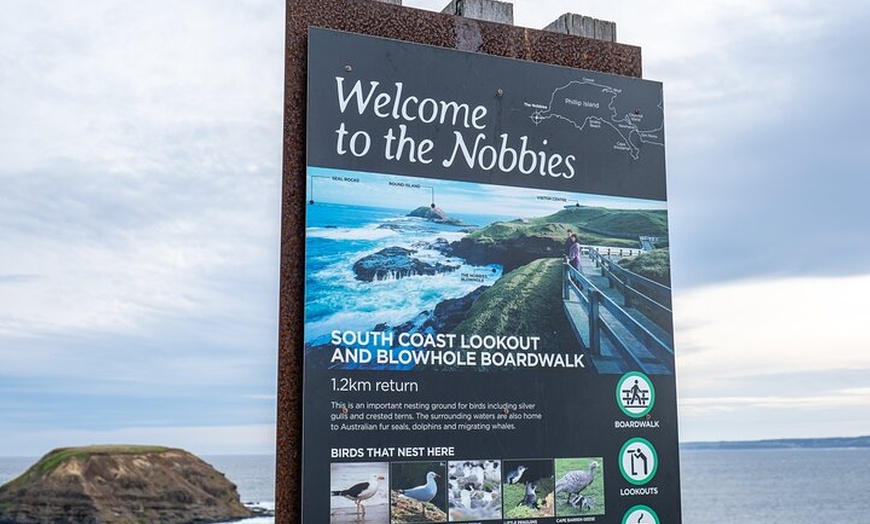 Image 11: Full-Day Phillip Island Tour with Kangaroo, Koala and Penguin Parade