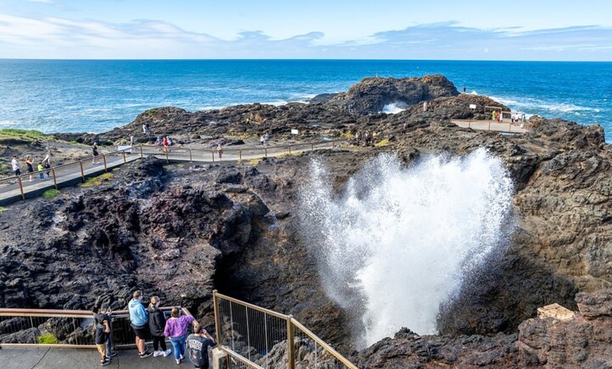 Image 5: Sea Cliff Bridge Tours with Whale Watching and Wine Tasting