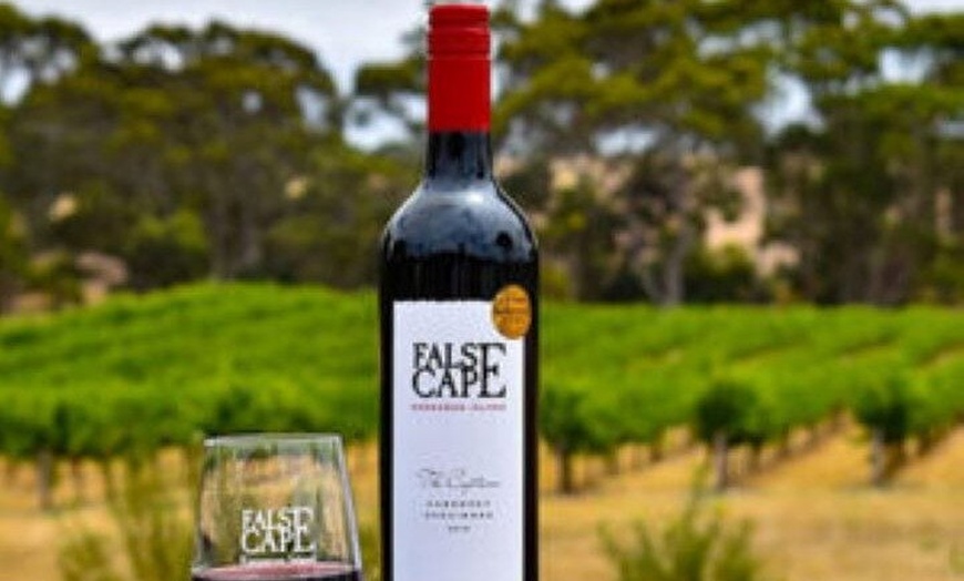 Image 4: CRUISE SHIP Dudley Wines & False Cape Wine Tour