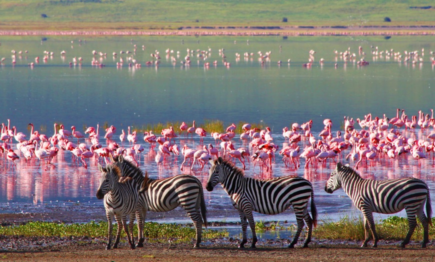 Image 3: ✈ TANZANIE | De la Tanzanie à Zanzibar - Trésors de Tanzanie en Saf...