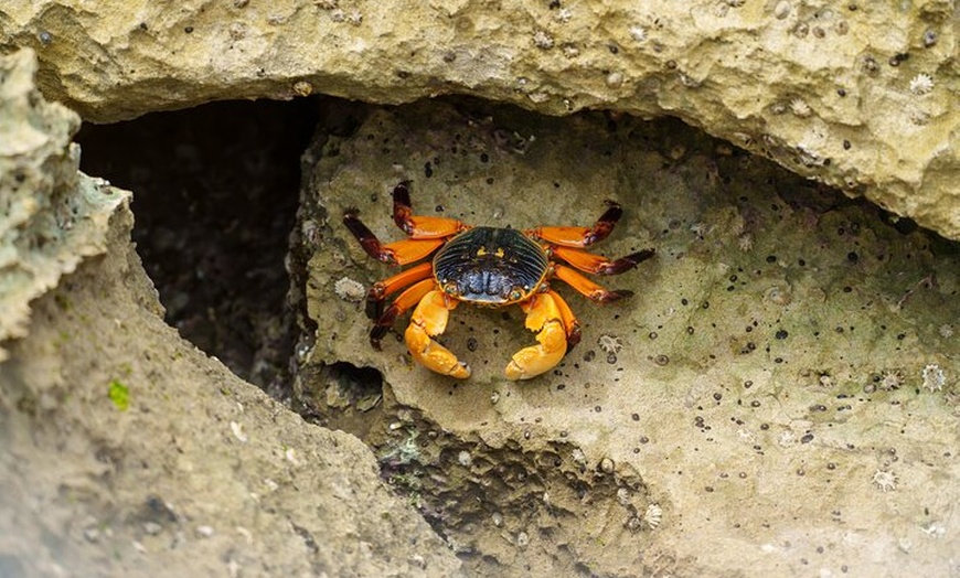 Image 9: Port Lincoln National Park Half day Tour