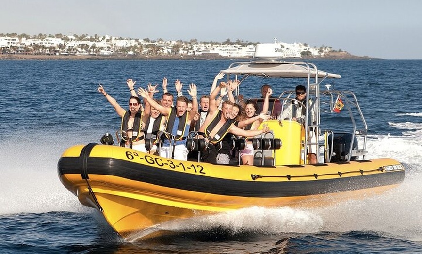 Image 3: Avistamiento de Delfines y Baño en Playa de Papagayo Lanzarote
