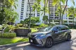 Honolulu Airport, Cruise Port and Hotels Private Transfer - Second Medium