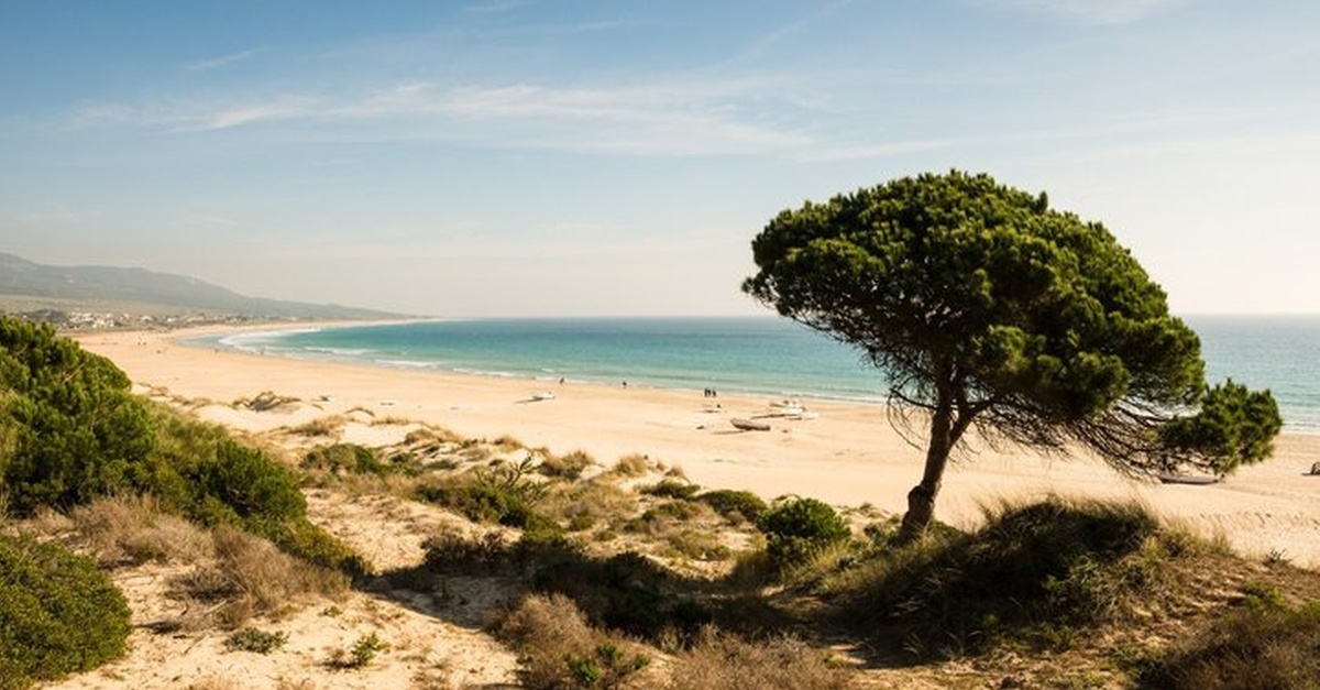 Tour privado desde el puerto de Sevilla hacia Tarifa y Bolonia
