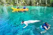 Peaceful Couples Sunrise Tandem Kayak – Three Sisters Springs - Second Medium