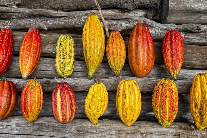 10 Bar Hawaiian Craft Chocolate Tasting Experience
