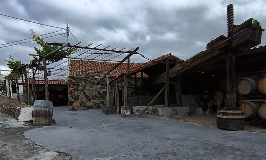 Image 15: Lo mejor de Gran Canaria: 4 horas Tour Privado para Cruceristas