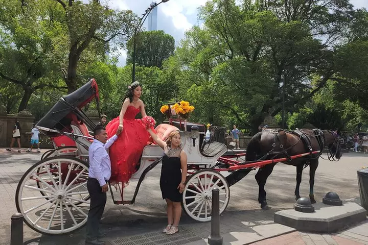 Full loop Private Horse Carriage Ride in Central Park 45 Minutes