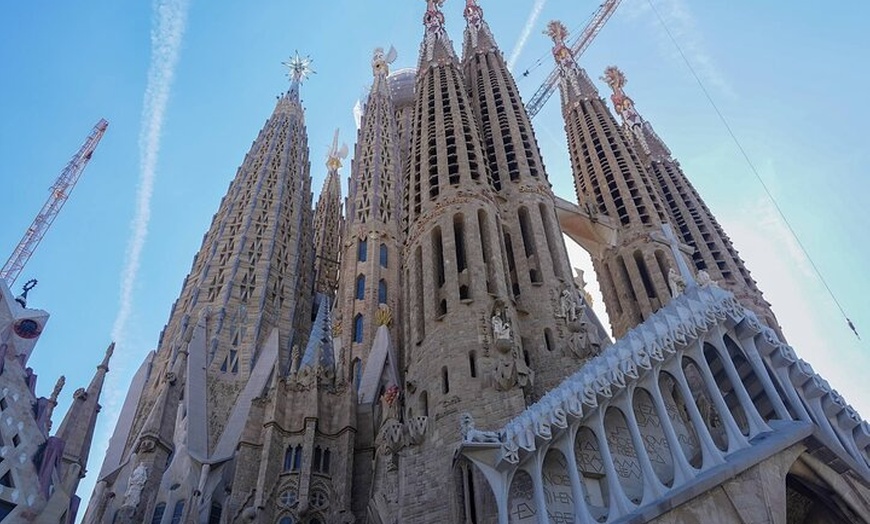 Image 4: Visita guiada Sagrada Familia & Park Güell