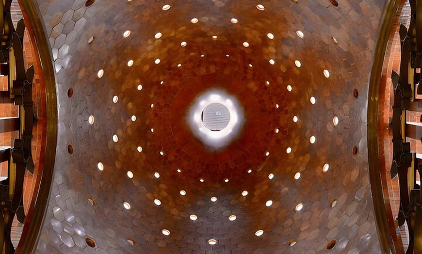 Image 4: Visita guiada a pie por Barcelona Palau Güell