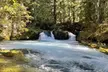 Eugene area Waterfalls & the McKenzie River in a Tesla - Second Medium