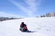 Guided On Trail Snowmobile and UTV Tours Near Rabbit Ears Pass - Image 4