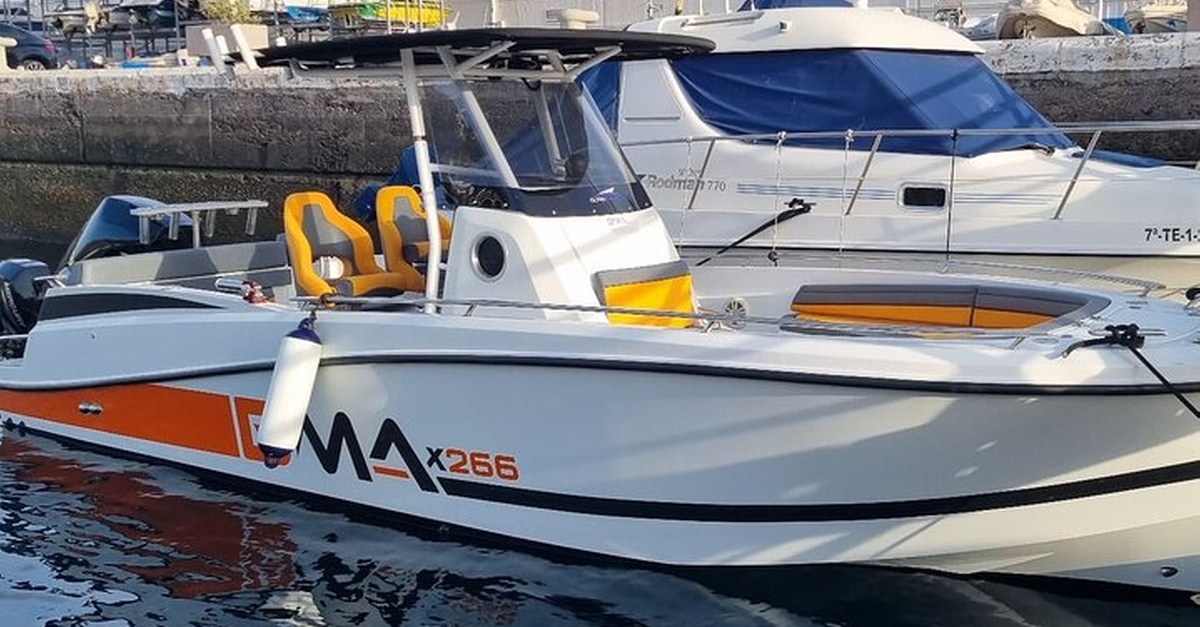 Tour privado en barco por Tenerife Sur